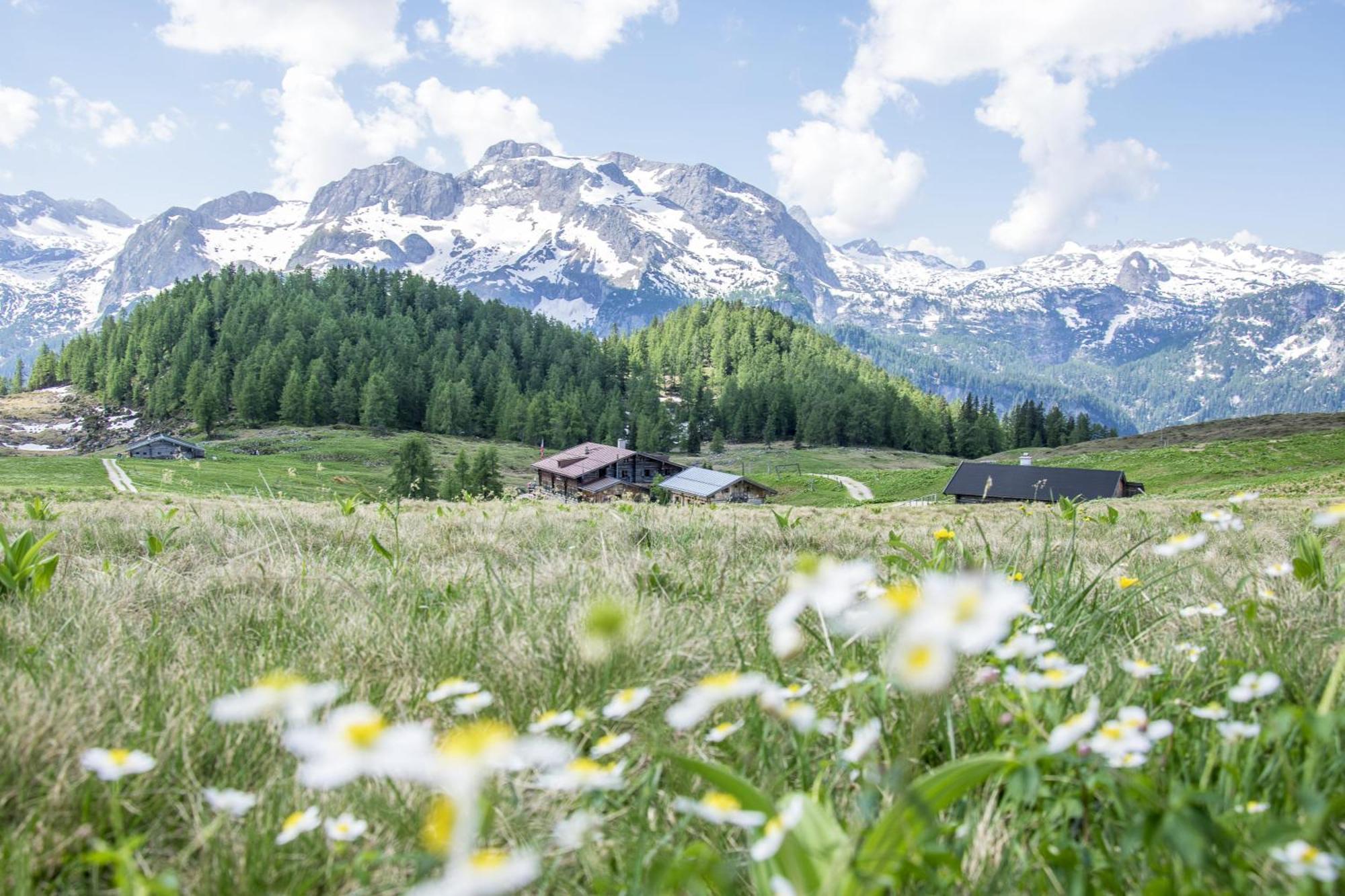 Villa Marga Ferienwohnung Steinernes Meer Schönau am Königssee Buitenkant foto